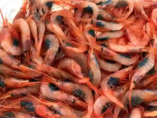 Langostino Con Cabeza
