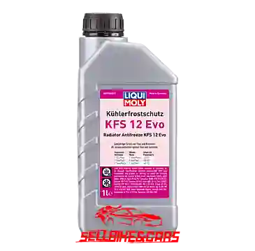 Anti-conge­lante Kfs 12 Evo