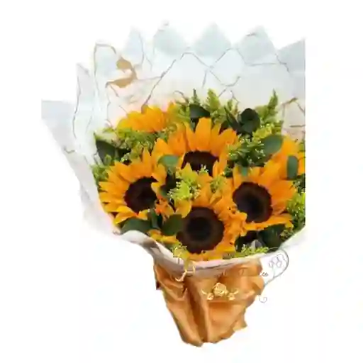 Girasoles En Cali