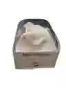 Cofre Pequeño Con Collar
