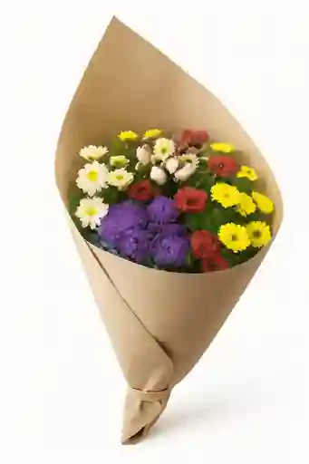 Coqueta Suprema