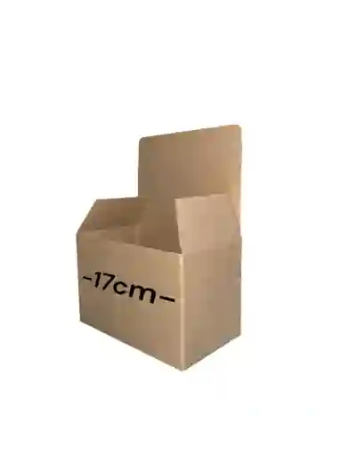 Caja Plegable Microcorrugado 17x10x17cm