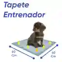 Morral Cargador Ventana Mediano + 15 Unidades De Tapetes Marron
