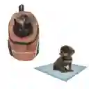 Morral Cargador Ventana Mediano + 15 Unidades De Tapetes Marron