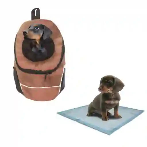 Morral Cargador Ventana Mediano + 15 Unidades De Tapetes Marron