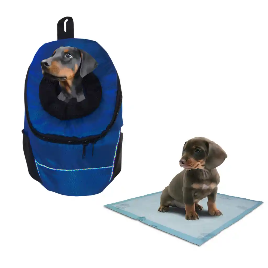 Morral Cargador Ventana Mediano + 15 Unidades De Tapetes Azul Oscuro