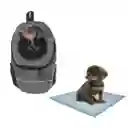Morral Cargador Ventana Mediano + 15 Unidades De Tapetes Gris