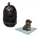 Morral Cargador Ventana Mediano + 15 Unidades De Tapetes Negro