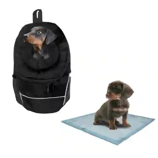 Morral Cargador Ventana Mediano + 15 Unidades De Tapetes Negro
