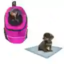 Morral Cargador Ventana Mediano + 15 Unidades De Tapetes Rosado
