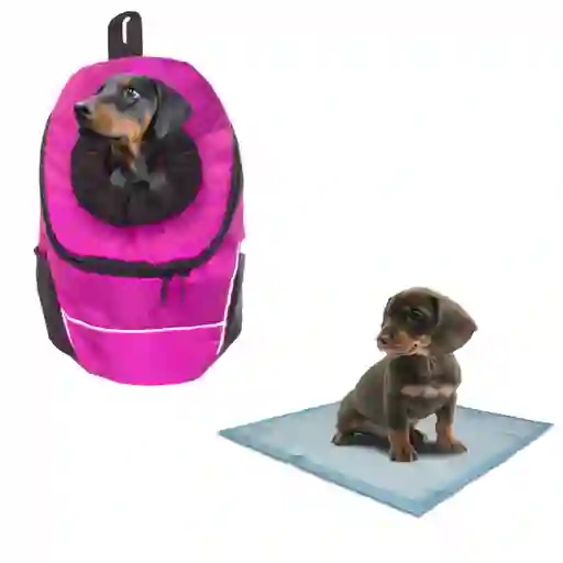 Morral Cargador Ventana Mediano + 15 Unidades De Tapetes Rosado