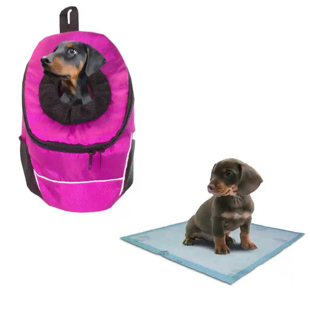 Morral Cargador Ventana Mediano + 15 Unidades De Tapetes Rosado