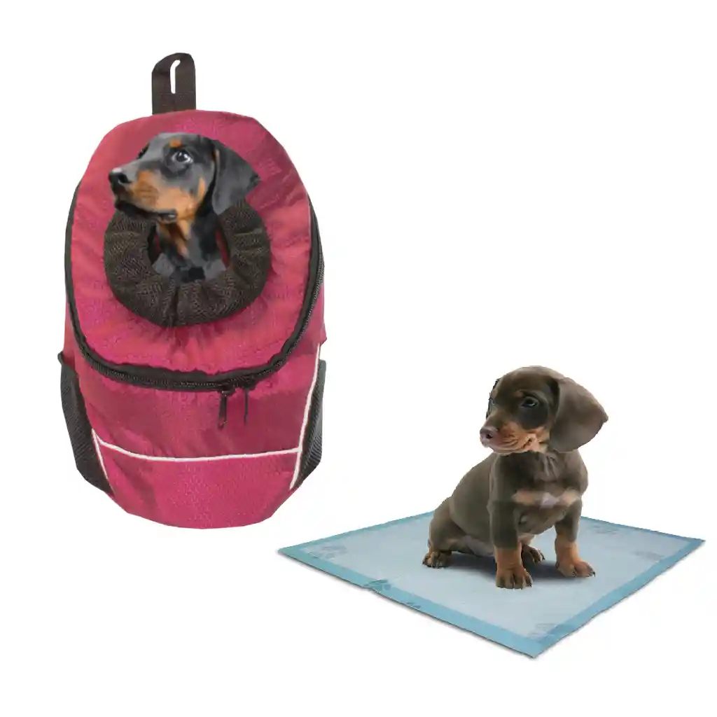 Morral Cargador Ventana Mediano + 15 Unidades De Tapetes Vinotinto