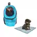 Morral Cargador Ventana Mediano + 15 Unidades De Tapetes Celeste