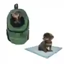Morral Cargador Ventana Mediano + 15 Unidades De Tapetes Verde