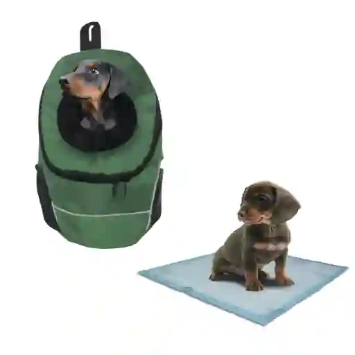 Morral Cargador Ventana Mediano + 15 Unidades De Tapetes Verde