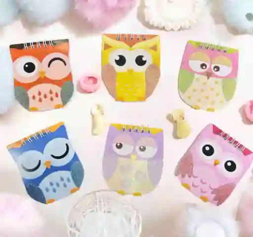 Mini Libreta Argolla Buho