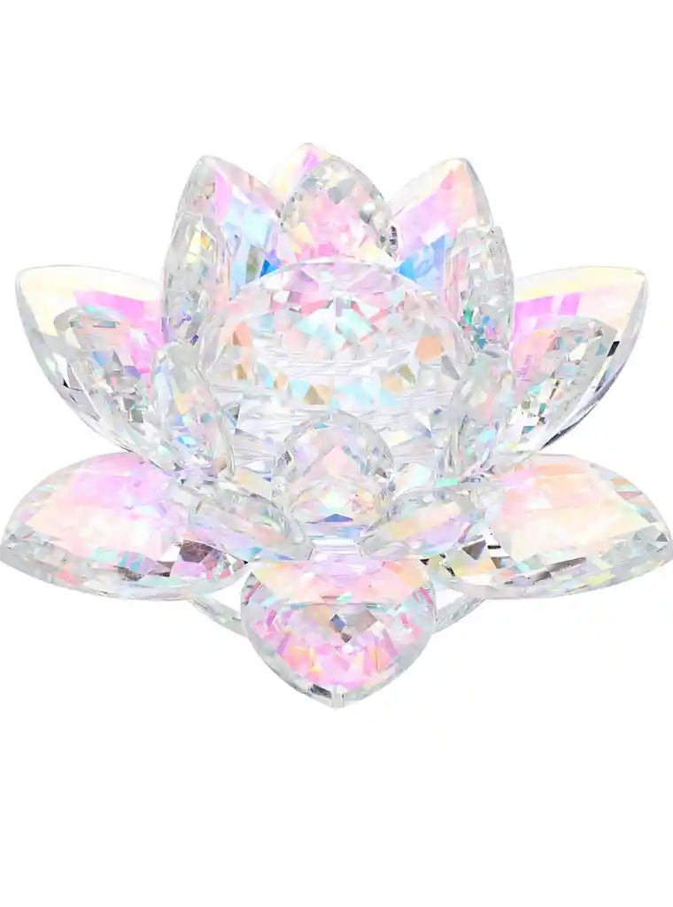 Flor De Loto