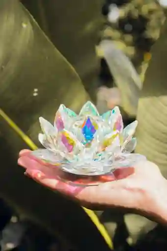 Flor De Loto