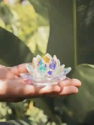 Flor De Loto