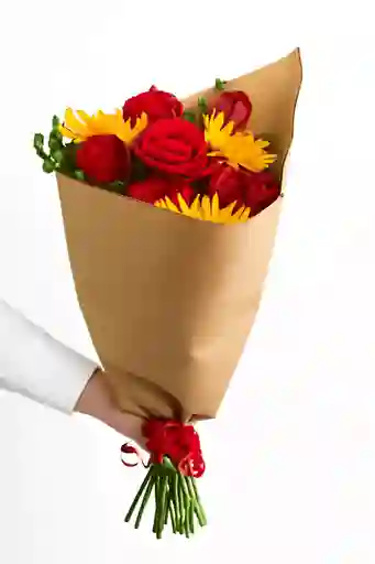 Sol Y Escarlata