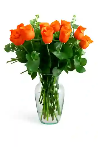 Fuego Naranja