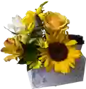 Flores Amarillas Con Café