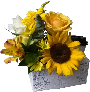 Flores Amarillas Con Café