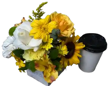 Flores Amarillas Con Café