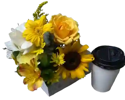 Flores Amarillas Con Café