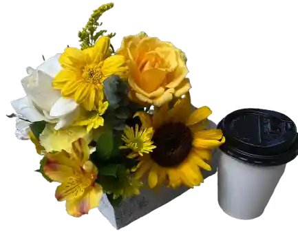 Flores Amarillas Con Café