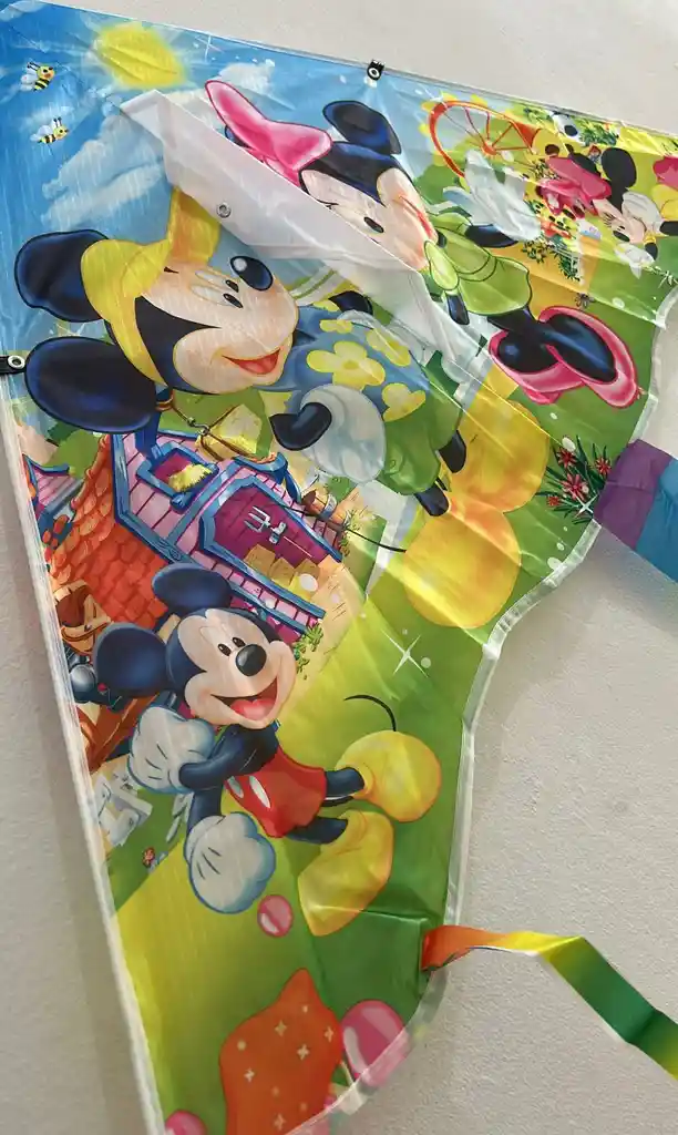 Cometa Pajaro Pequeño