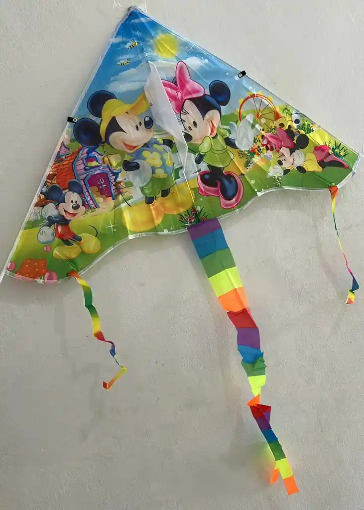 Cometa Pajaro Pequeño