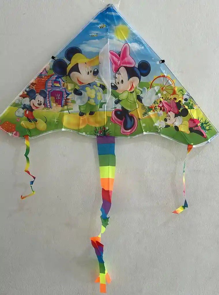 Cometa Pajaro Pequeño