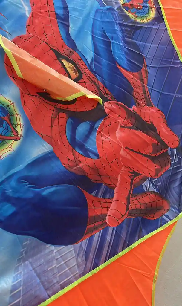 Cometa Pajaro Grande