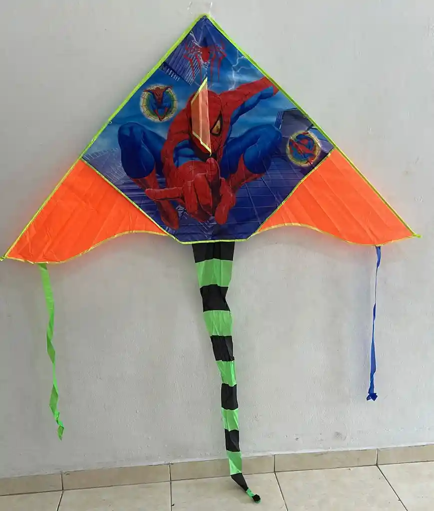 Cometa Pajaro Grande