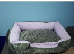 Cama Sofa