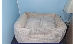 Cama Tipo Sofa