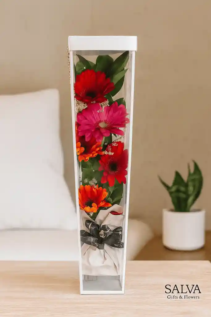 Gerberas Flores De Colores En Estuche De Lujo