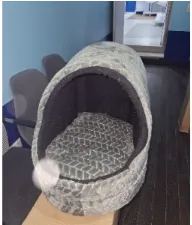 Cama Tipo Iglu
