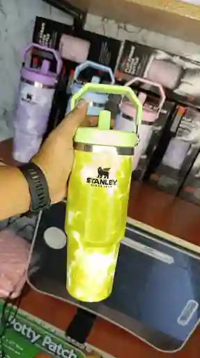 Termo Stanley 900 Ml Verde