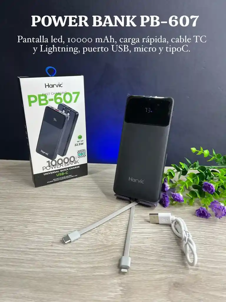 Power Bank 10.000 Mah