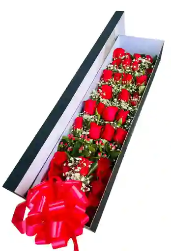 Caja De Rosas Rojas