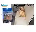 Pet Zoom