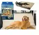 Pet Zoom