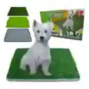 Tapete De Entrenamiento Para Perros Grande 43x69cm