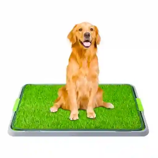 Tapete De Entrenamiento Para Perros Grande 43x69cm