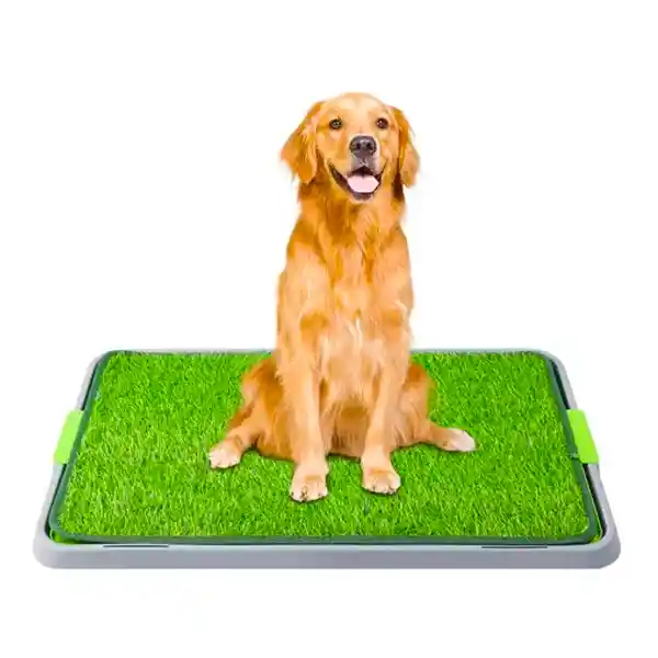 Tapete De Entrenamiento Para Perros Grande 43x69cm