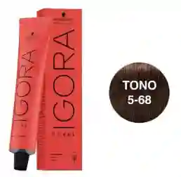Tinte Igora Roya 5-68 Castaño Claro Chocolate Rojo