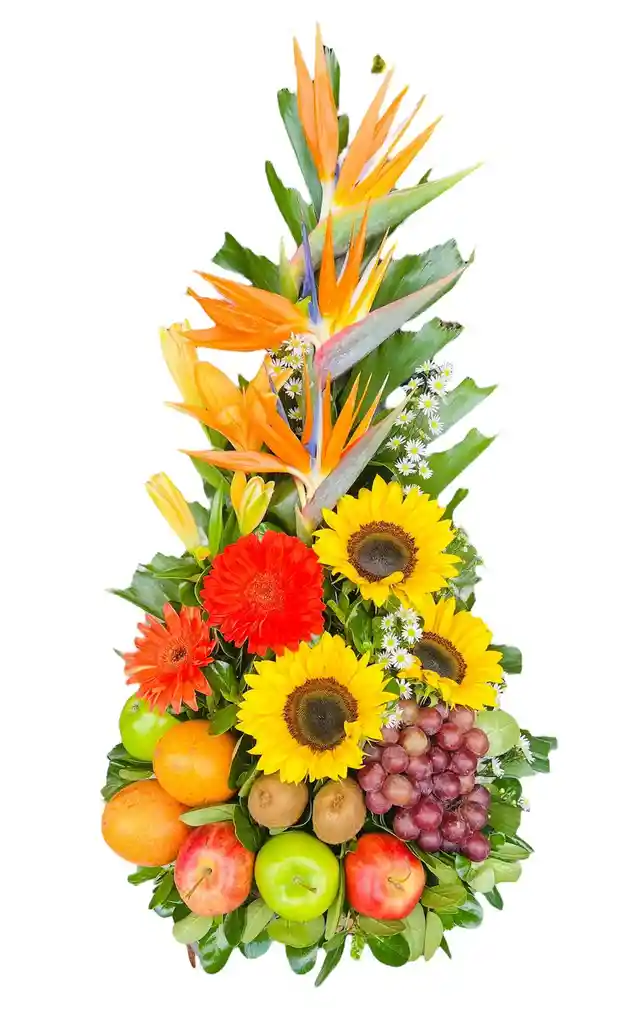 Ramo Tropi Frutero